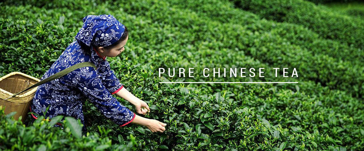 China melhor chá orgânico do oolong em vendas