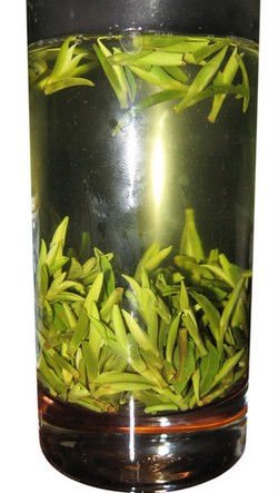 Alta qualidade no início da primavera de bambu orgânico zhuyeqing chá verde